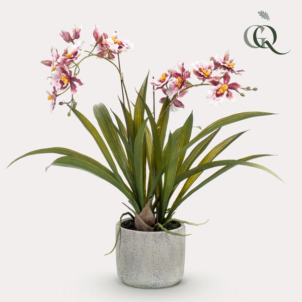 Plant Kunstplant Orchidee - Bordeaux - 45cm