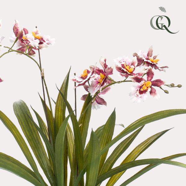 Plant Kunstplant Orchidee - Bordeaux - 45cm