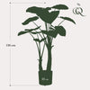 Plant Kunstplant - Alocasia - Olifantsoor - 110cm