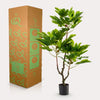 Plant Vijgenboom Kunstplant (Ficus Carica) -hoogte 95 cm