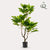 Plant Vijgenboom Kunstplant (Ficus Carica) -hoogte 95 cm