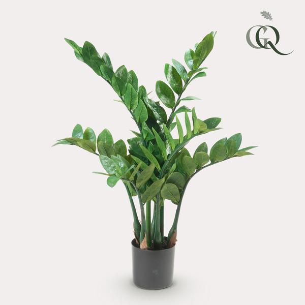 Plant Kunstpalm Zamioculcas - Kamerpalm - 70 cm - Kunstplant