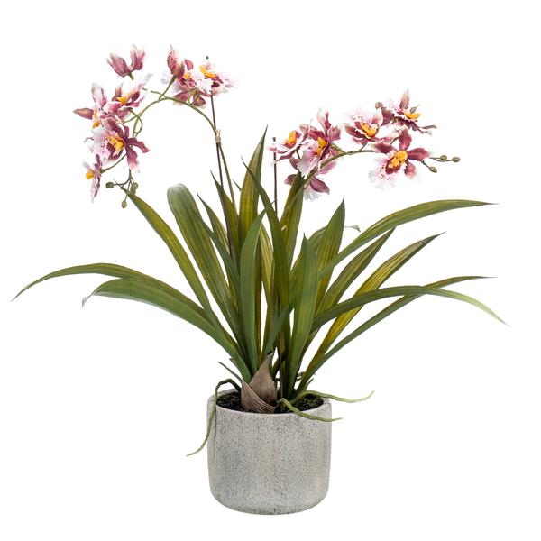 Plant Kunstplant Orchidee - Bordeaux - 45cm