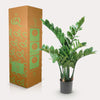 Plant Kunstpalm Zamioculcas - Kamerpalm - 70 cm - Kunstplant