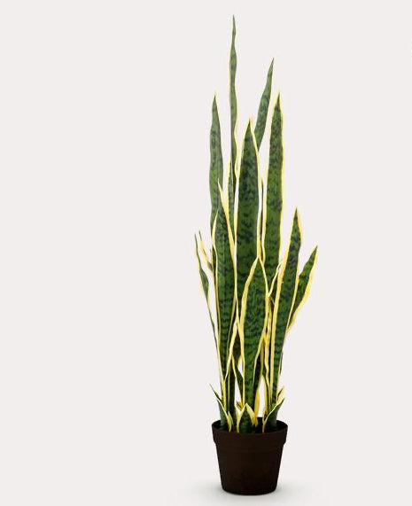 Plant Kunstplant - Sanseveria Trifasciata - Vrouwentong - 97 cm