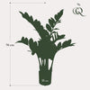 Plant Kunstpalm Zamioculcas - Kamerpalm - 70 cm - Kunstplant