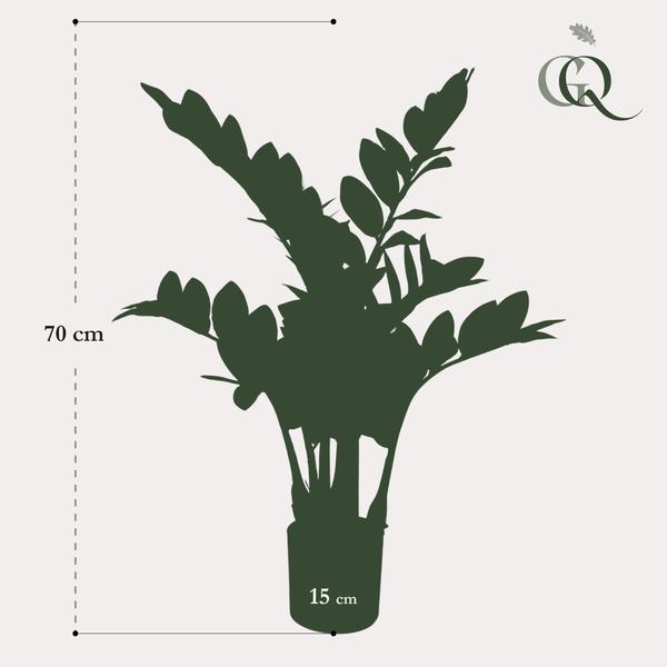 Plant Kunstpalm Zamioculcas - Kamerpalm - 70 cm - Kunstplant