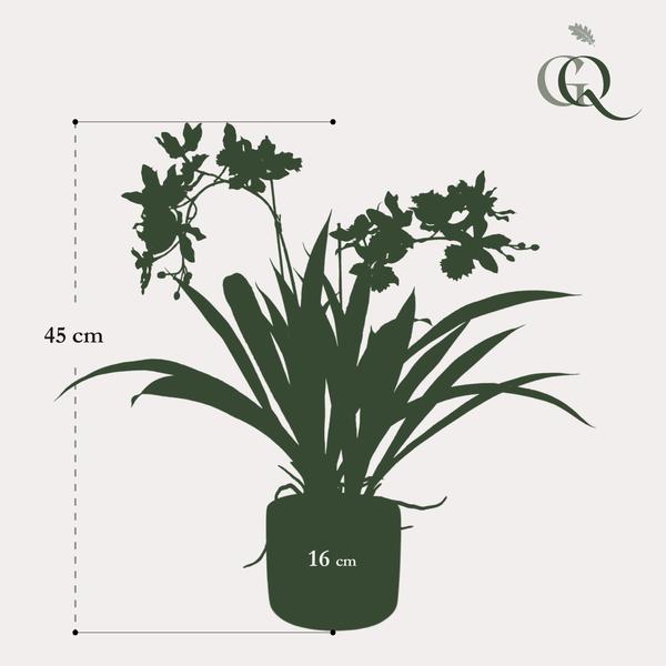 Plant Kunstplant Orchidee - Bordeaux - 45cm