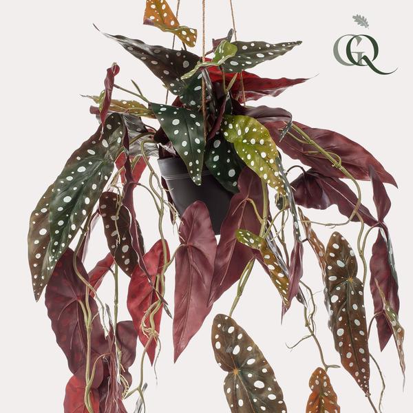 Plant Kunstplant (hangplant) - Begonia Maculata - Stippenbegonia - 80 cm