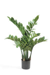 Plant Kunstpalm Zamioculcas - Kamerpalm - 70 cm - Kunstplant