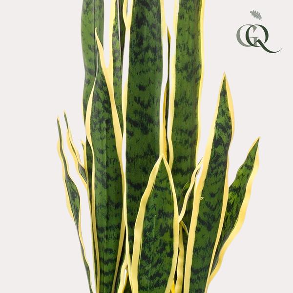 Plant Kunstplant - Sanseveria Trifasciata - Vrouwentong - 97 cm