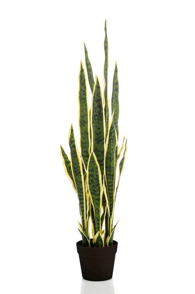 Plant Kunstplant - Sanseveria Trifasciata - Vrouwentong - 97 cm