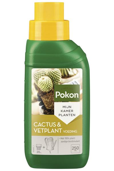 Plant Cactus Plant Voeding 250ML - Plantvoeding voor cactussen