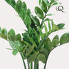 Plant Kunstpalm Zamioculcas - Kamerpalm - 70 cm - Kunstplant