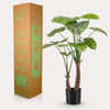 Plant Kunstplant - Alocasia - Olifantsoor - 110cm