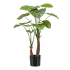 Plant Kunstplant - Alocasia - Olifantsoor - 110cm