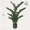 Plant Kunstplant - Kamerpalm- 110cm - Zamioculcas