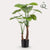 Plant Kunstplant - Alocasia - Olifantsoor - 110cm